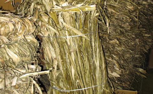 Paper mullberry fibre Paper mullberry fibre
